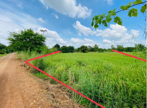 ขายทอดตลาด ที่ดินว่างเปล่า ต.นาป่า อ.เมืองเพชรบูรณ์ จ.เพชรบูรณ์