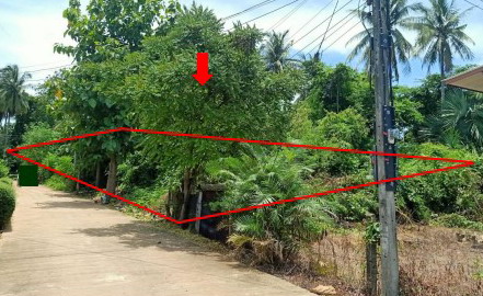 ขายทอดตลาด ที่ดินว่างเปล่า ต.ดงมูลเหล็ก อ.เมืองเพชรบูรณ์ จ.เพชรบูรณ์