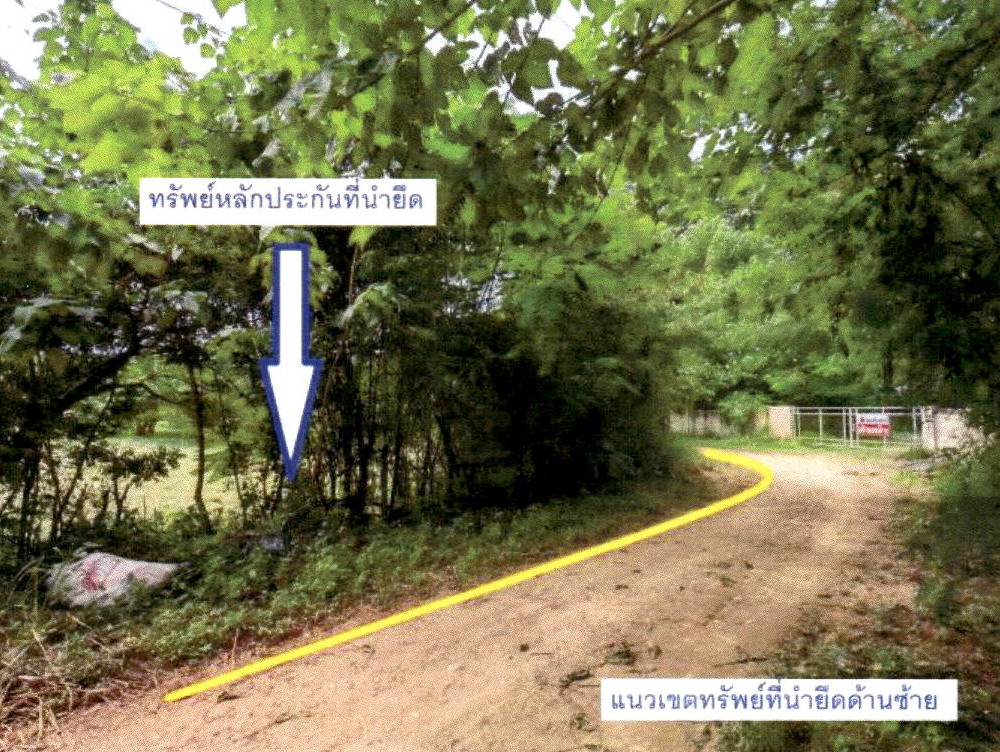 ขายทอดตลาด ที่ดินว่างเปล่า ต.บ้านหนุน อ.สอง จ.แพร่