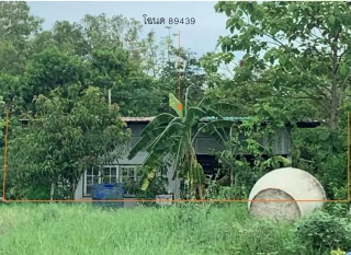 รูปทรัพย์ 2