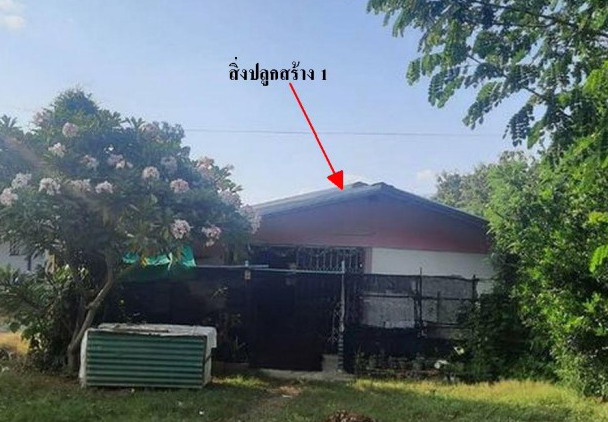ขายทอดตลาด ที่ดินพร้อมสิ่งปลูกสร้าง ต.นาป่า อ.เมืองเพชรบูรณ์ จ.เพชรบูรณ์