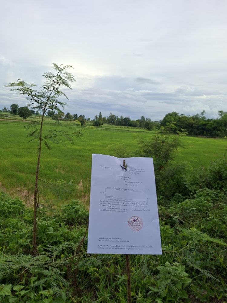 ขายทอดตลาด ที่ดินว่างเปล่า ต.กุดปลาดุก อ.ชื่นชม จ.มหาสารคาม