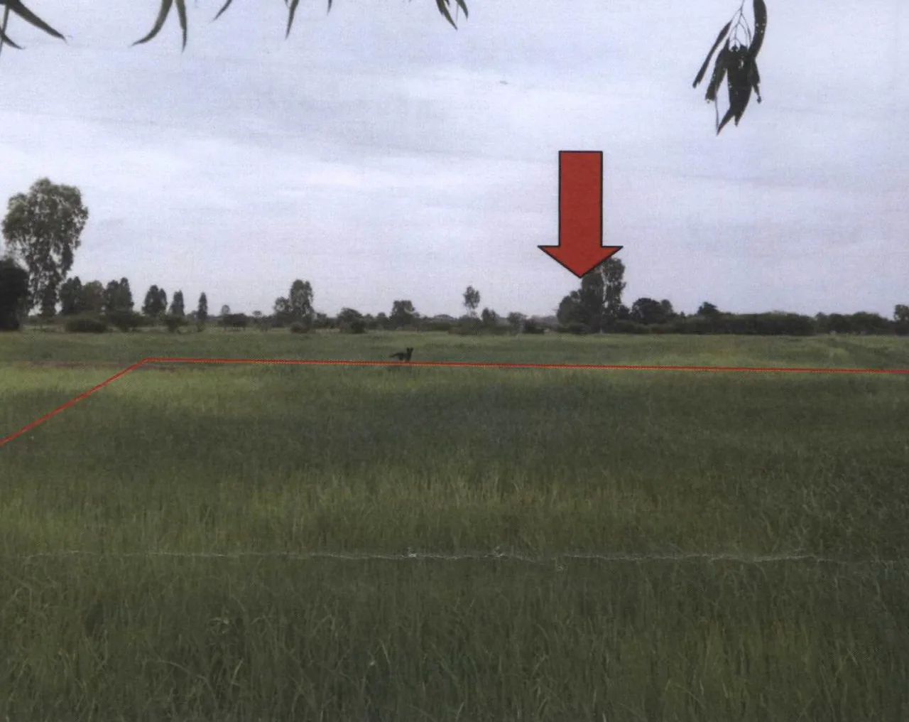 ขายทอดตลาด ที่ดินว่างเปล่า ต.แก่งเลิงจาน อ.เมืองมหาสารคาม จ.มหาสารคาม
