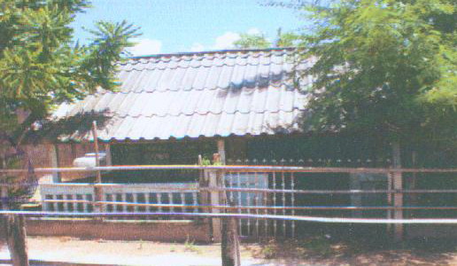 ขายทอดตลาด ที่ดินพร้อมสิ่งปลูกสร้าง ต.เสือโก้ก อ.วาปีปทุม จ.มหาสารคาม