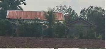 ขายทอดตลาด ที่ดินพร้อมสิ่งปลูกสร้าง ต.ตะกุดไร อ.ชนแดน จ.เพชรบูรณ์