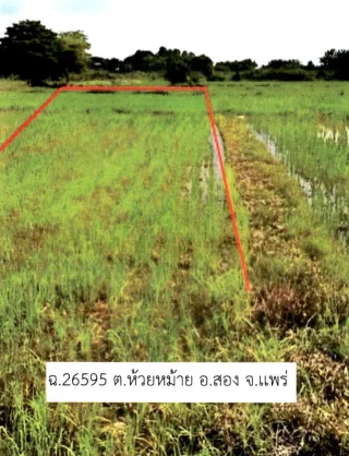 รูปทรัพย์ 2
