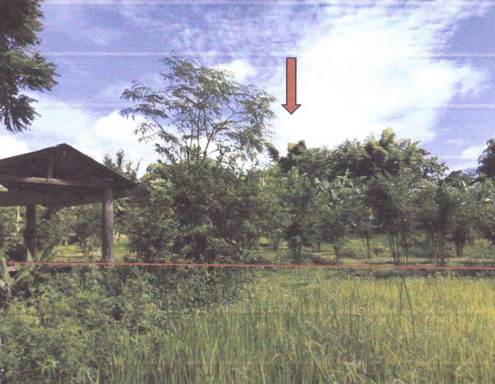ขายทอดตลาด ที่ดินว่างเปล่า ต.ห้วยอ้อ อ.ลอง จ.แพร่