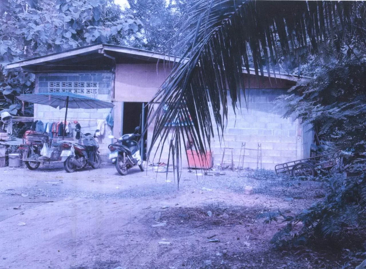 ขายทอดตลาด ที่ดินพร้อมสิ่งปลูกสร้าง ต.นายม อ.เมืองเพชรบูรณ์ จ.เพชรบูรณ์