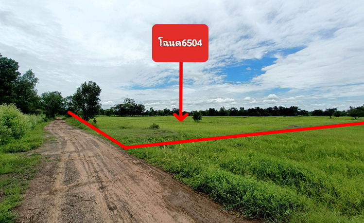 ขายทอดตลาด ที่ดินว่างเปล่า ต.นาดูน อ.นาดูน จ.มหาสารคาม