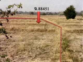 รูปทรัพย์ 1