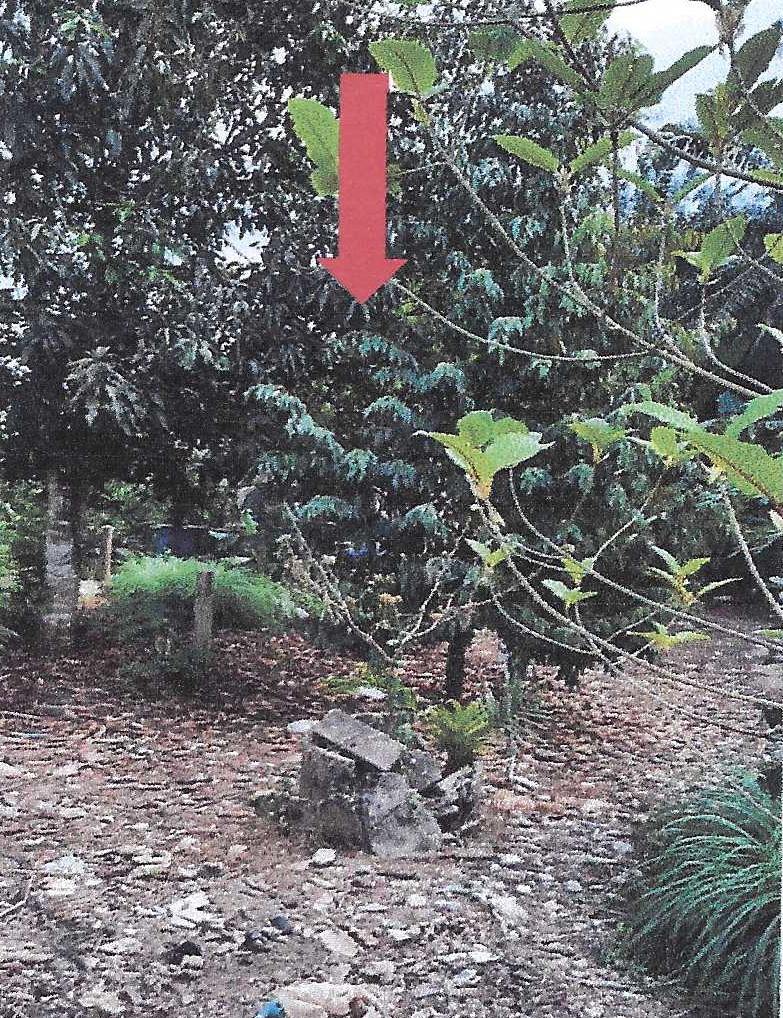 ขายทอดตลาด ที่ดินว่างเปล่า ต.ปลายพระยา อ.ปลายพระยา จ.กระบี่