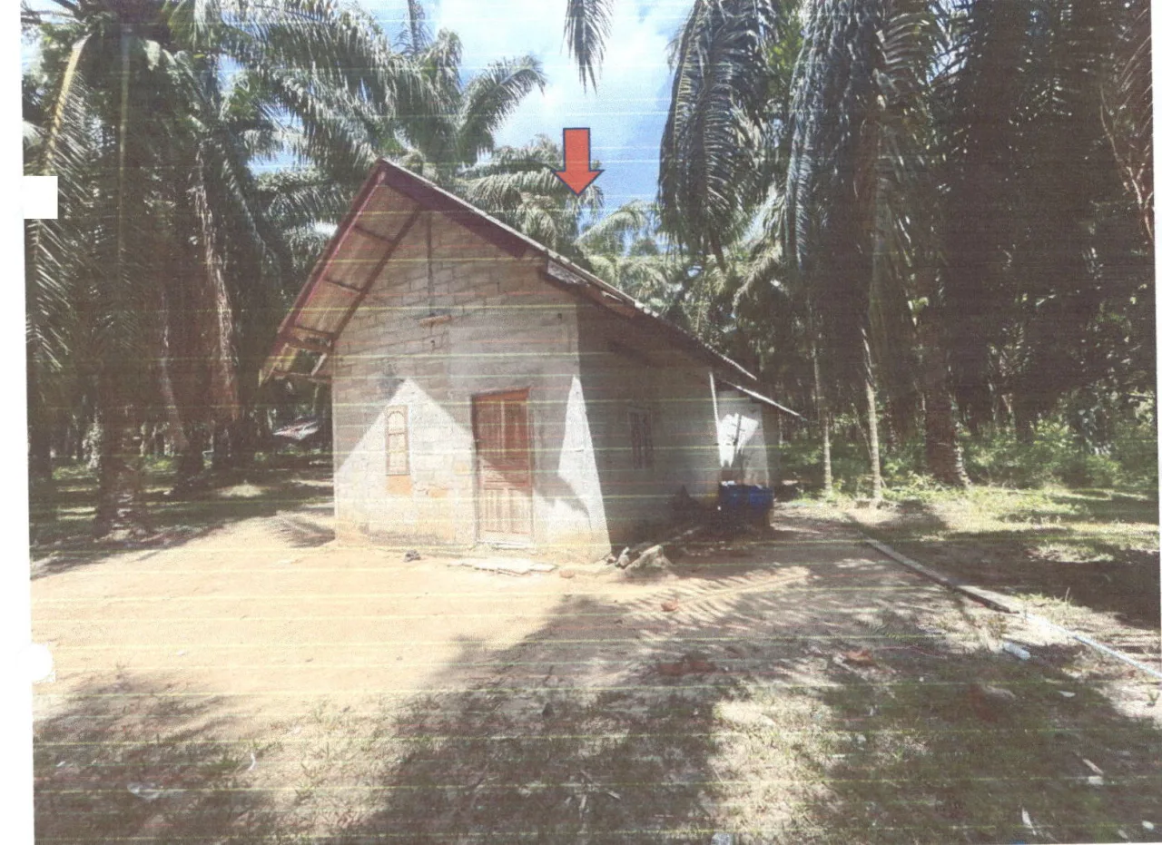ขายทอดตลาด ที่ดินพร้อมสิ่งปลูกสร้าง ต.บ้านกลาง อ.อ่าวลึก จ.กระบี่