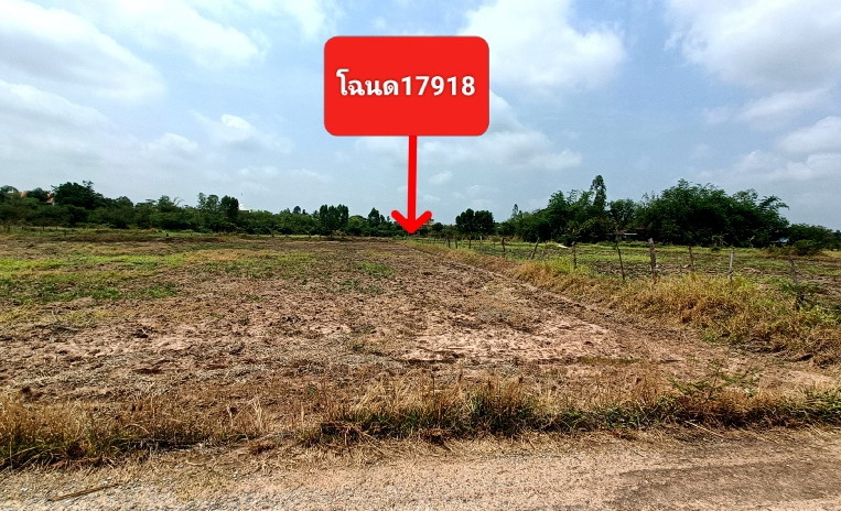 ขายทอดตลาด ที่ดินว่างเปล่า ต.โพนทอง อ.เชียงยืน จ.มหาสารคาม