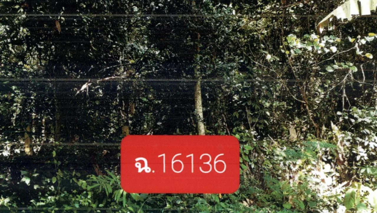 ขายทอดตลาด ที่ดินว่างเปล่า ต.เวียงทอง อ.สูงเม่น จ.แพร่