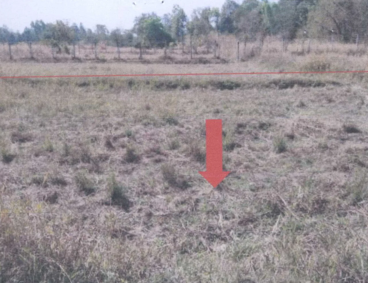 ขายทอดตลาด ที่ดินว่างเปล่า ต.บัวขาว อ.กุฉินารายณ์ จ.กาฬสินธุ์