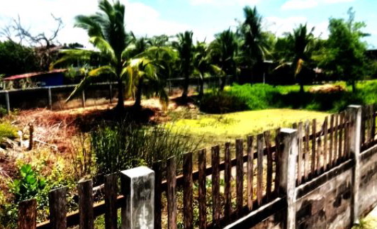 ขายทอดตลาด ที่ดินว่างเปล่า ต.ท่าสองคอน อ.เมืองมหาสารคาม จ.มหาสารคาม