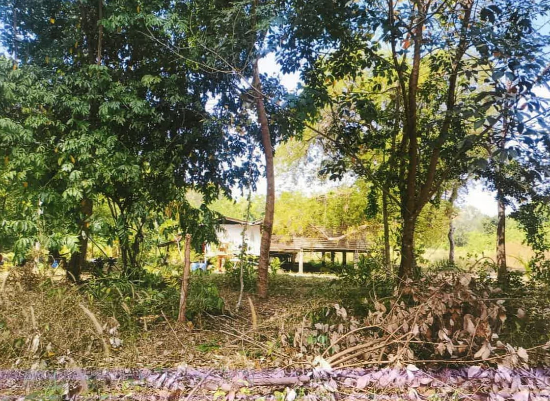 ขายทอดตลาด ที่ดินพร้อมสิ่งปลูกสร้าง ต.คลองขุด อ.ท่าใหม่ จ.จันทบุรี