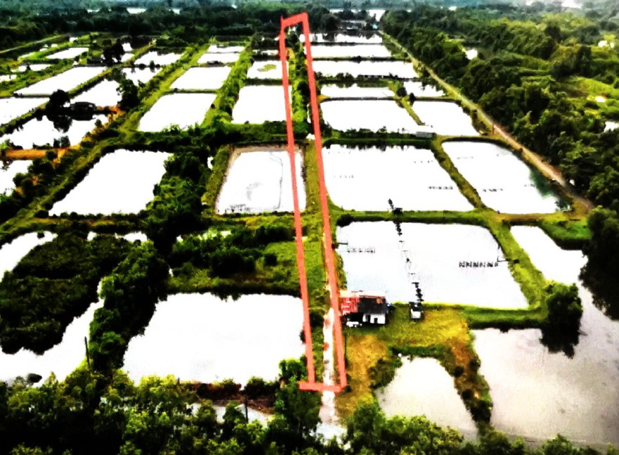 ขายทอดตลาด ที่ดินว่างเปล่า ต.บางสระเก้า อ.แหลมสิงห์ จ.จันทบุรี