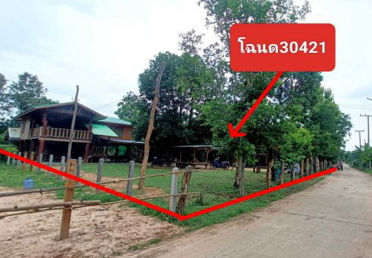 ขายทอดตลาด ที่ดินว่างเปล่า ต.หนองบัวสันตุ อ.ยางสีสุราช จ.มหาสารคาม