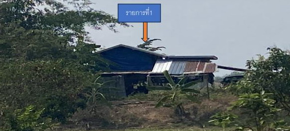 ขายทอดตลาด ที่ดินพร้อมสิ่งปลูกสร้าง ต.เชียงยืน อ.เชียงยืน จ.มหาสารคาม