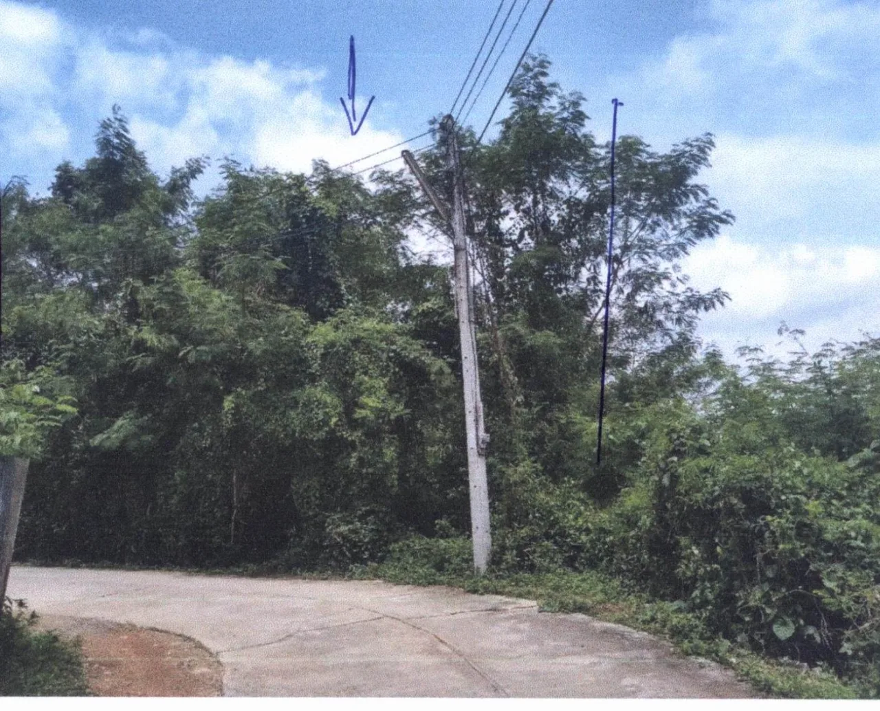 ขายทอดตลาด ที่ดินว่างเปล่า ต.บ้านถิ่น อ.เมืองแพร่ จ.แพร่