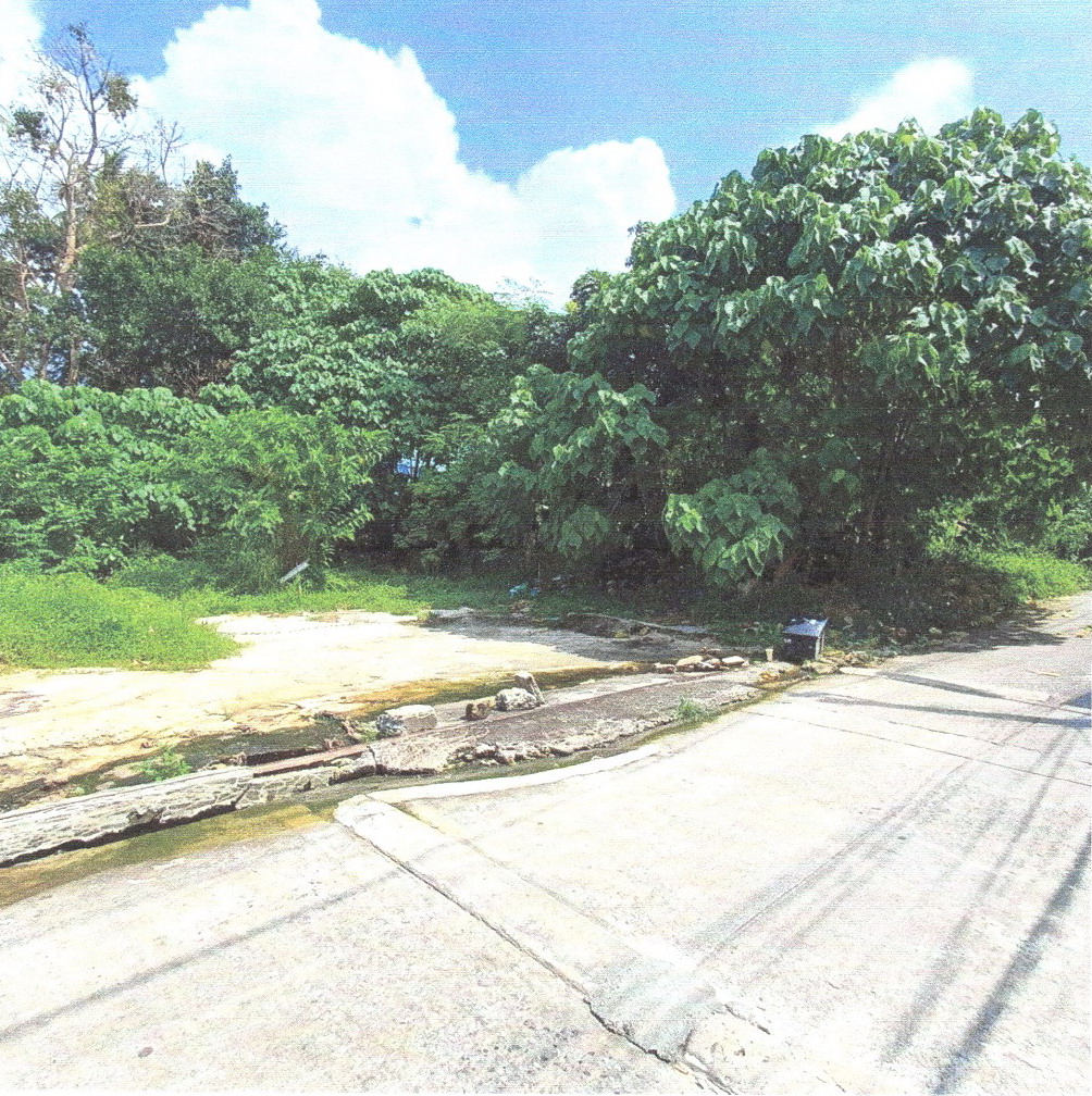 ขายทอดตลาด ที่ดินว่างเปล่า ต.ป่าตอง อ.กะทู้ จ.ภูเก็ต