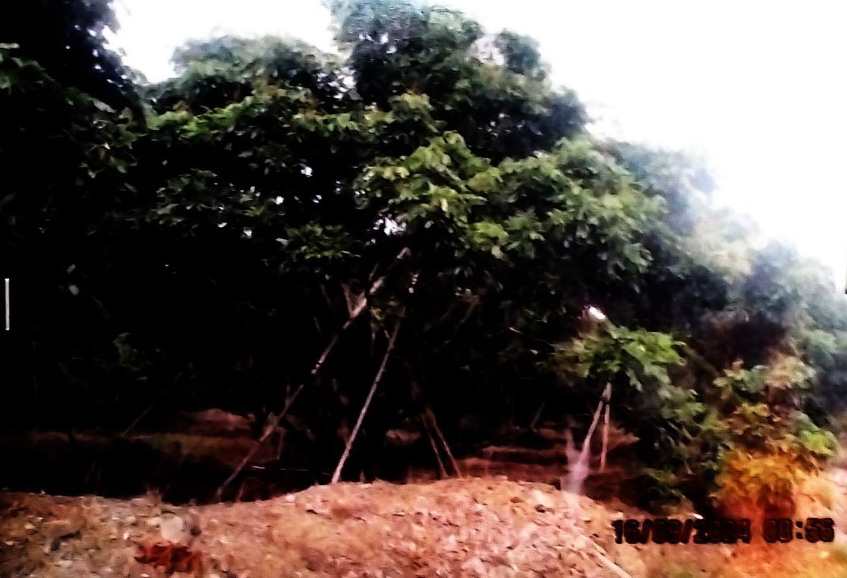 ขายทอดตลาด ที่ดินพร้อมสิ่งปลูกสร้าง ต.ปะตง อ.สอยดาว จ.จันทบุรี