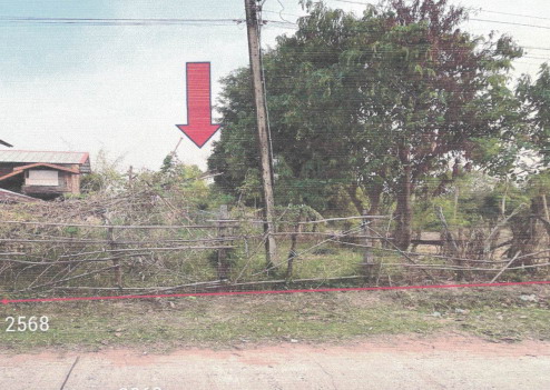 ขายทอดตลาด ที่ดินว่างเปล่า ต.หนองจิก อ.บรบือ จ.มหาสารคาม