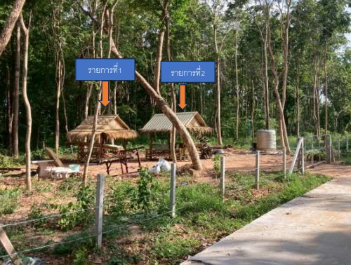 ขายทอดตลาด ที่ดินว่างเปล่า จ.มหาสารคาม