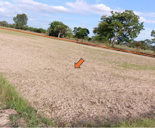 ขายทอดตลาด ที่ดินว่างเปล่า ต.หนองบัวแก้ว อ.พยัคฆภูมิพิสัย จ.มหาสารคาม