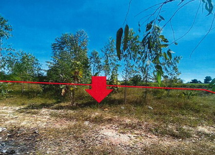 ขายทอดตลาด ที่ดินว่างเปล่า ต.สหัสขันธ์ อ.สหัสขันธ์ จ.กาฬสินธุ์