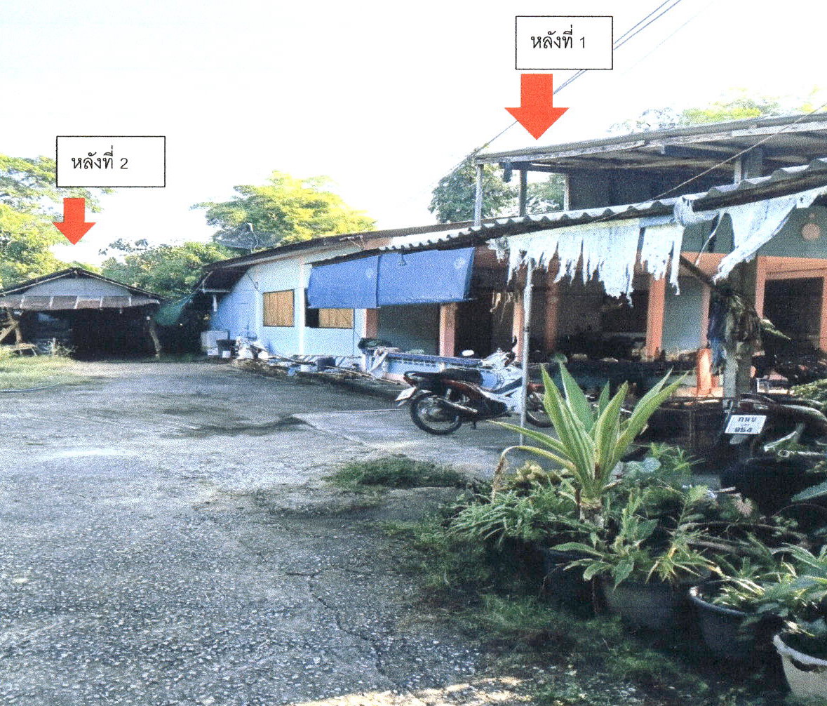 ขายทอดตลาด ที่ดินพร้อมสิ่งปลูกสร้าง ต.ร่องฟอง อ.เมืองแพร่ จ.แพร่