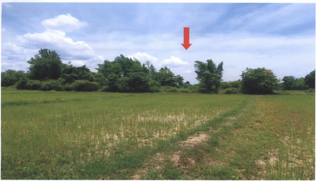 ขายทอดตลาด ที่ดินว่างเปล่า ต.เกาะแก้ว อ.โคกสำโรง จ.ลพบุรี