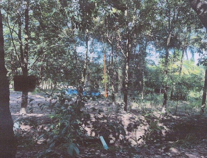 ขายทอดตลาด ที่ดินว่างเปล่า ต.นากอก อ.นิคมคำสร้อย จ.มุกดาหาร