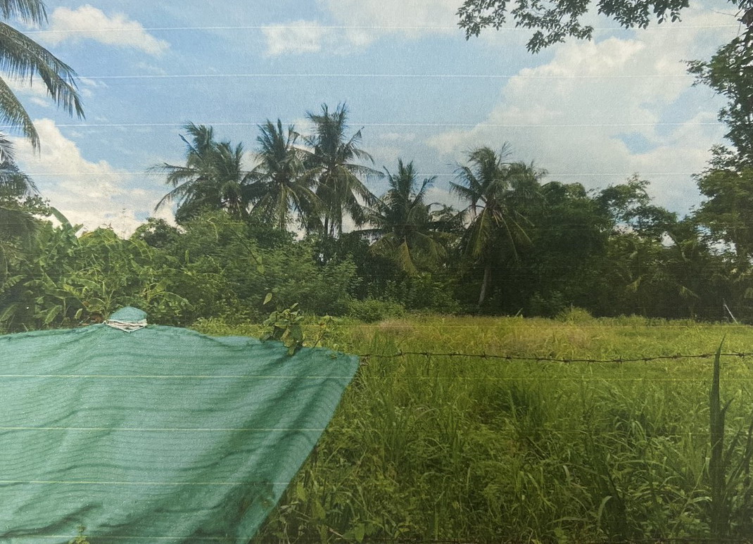 ขายทอดตลาด ที่ดินว่างเปล่า ต.หนองเรือ อ.นาเชือก จ.มหาสารคาม
