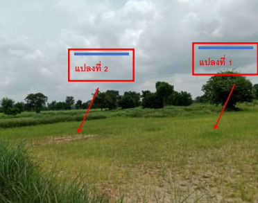 ขายทอดตลาด ที่ดินว่างเปล่า ต.หัวงัว อ.ยางตลาด จ.กาฬสินธุ์