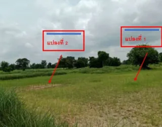 รูปทรัพย์ 1