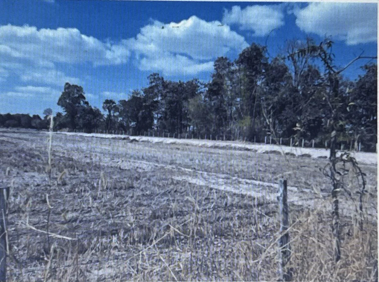 ขายทอดตลาด ที่ดินว่างเปล่า ต.หนองแสน อ.วาปีปทุม จ.มหาสารคาม