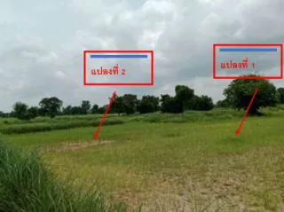 รูปทรัพย์ 2