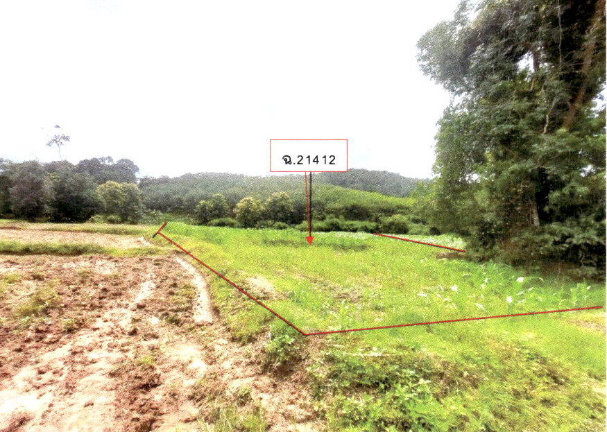 ขายทอดตลาด ที่ดินว่างเปล่า ต.สะเอียบ อ.สอง จ.แพร่