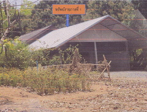 ขายทอดตลาด ที่ดินพร้อมสิ่งปลูกสร้าง ต.ดอนตาล อ.ดอนตาล จ.มุกดาหาร