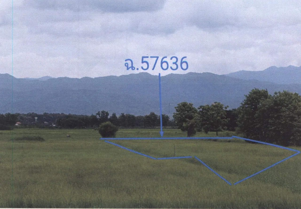 ขายทอดตลาด ที่ดินว่างเปล่า ต.แพรกหนามแดง อ.อัมพวา จ.สมุทรสงคราม