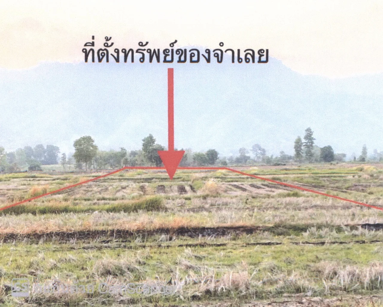 ขายทอดตลาด ที่ดินว่างเปล่า ต.หนองม่วงไข่ อ.หนองม่วงไข่ จ.แพร่