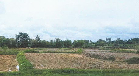 ขายทอดตลาด ที่ดินว่างเปล่า จ.กาฬสินธุ์