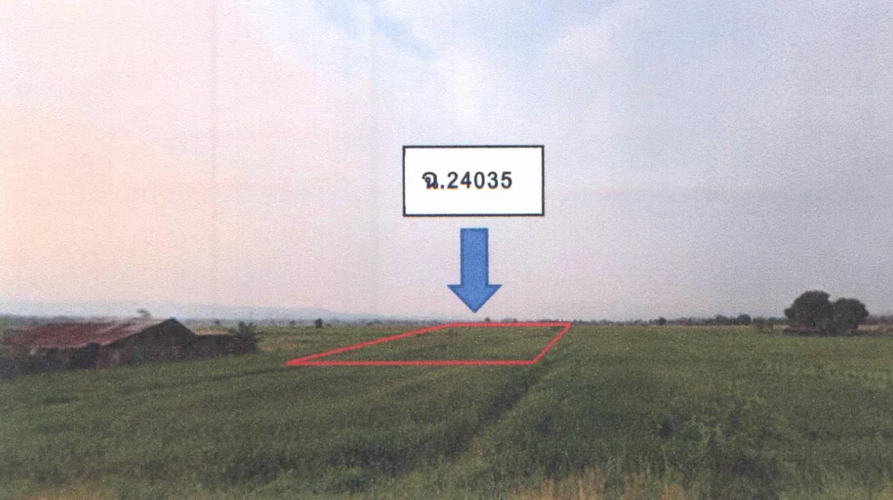 ขายทอดตลาด ที่ดินว่างเปล่า ต.น้ำชำ อ.สูงเม่น จ.แพร่
