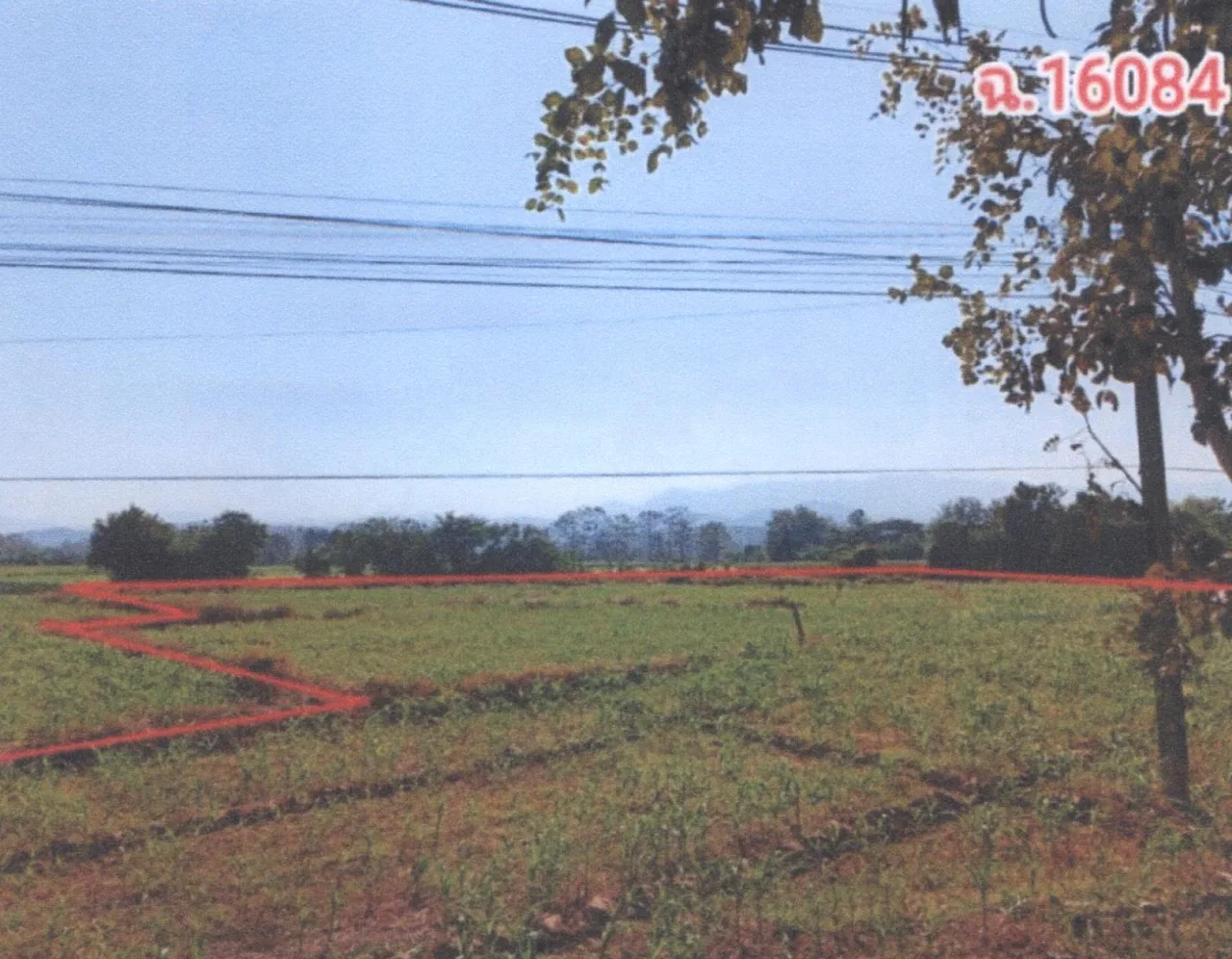 ขายทอดตลาด ที่ดินว่างเปล่า จ.แพร่