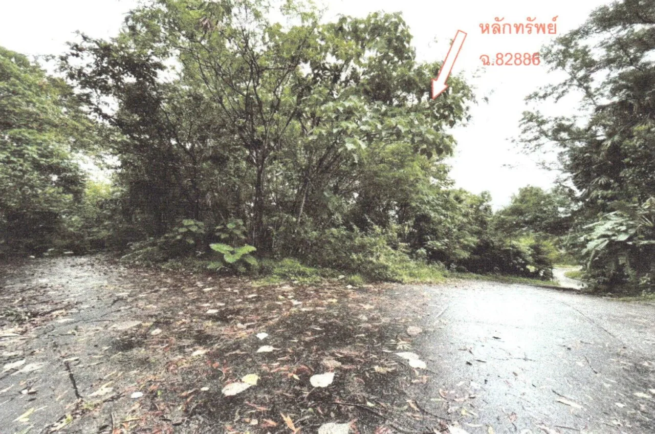 ขายทอดตลาด ที่ดินว่างเปล่า ต.เกาะแก้ว อ.เมืองภูเก็ต จ.ภูเก็ต