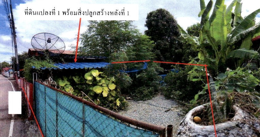 ขายทอดตลาด ที่ดินพร้อมสิ่งปลูกสร้าง ต.หนองม่วงไข่ อ.กิ่งอำเภอหนองม่วงไข่ จ.แพร่