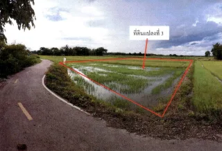 รูปทรัพย์ 2