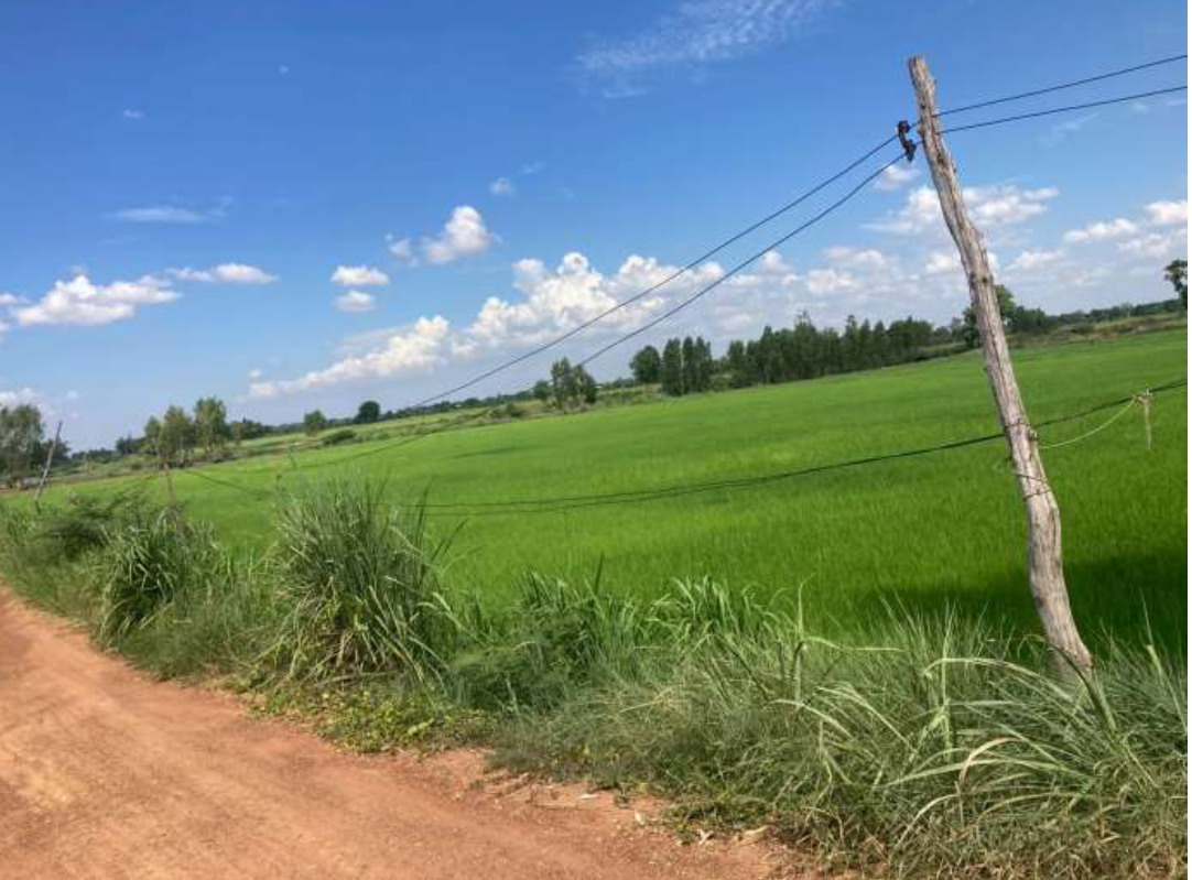 ขายทอดตลาด ที่ดินว่างเปล่า ต.มะค่า อ.กันทรวิชัย จ.มหาสารคาม